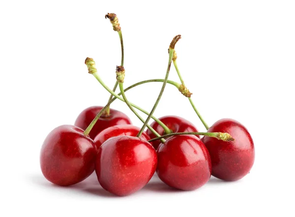 Sweet cherry — Stock fotografie