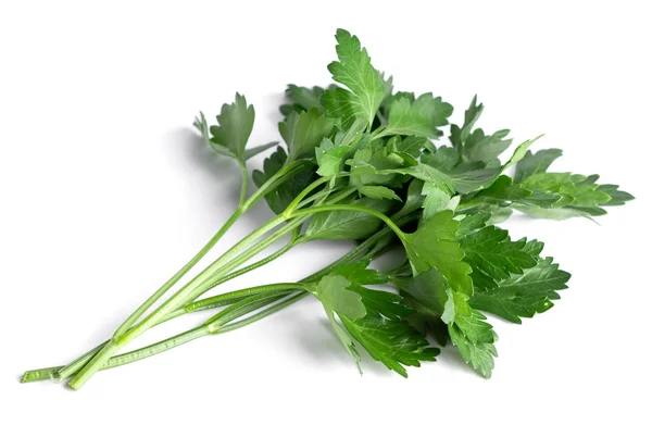 Parsley — Stock Photo, Image