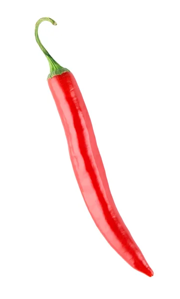 Warme rode chili of chili peper — Stockfoto