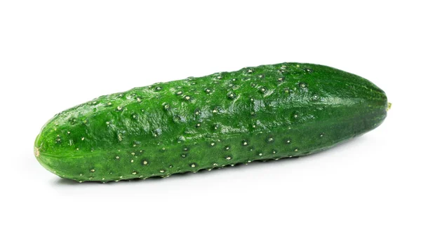 Fresh green cucumber — Stock Photo, Image