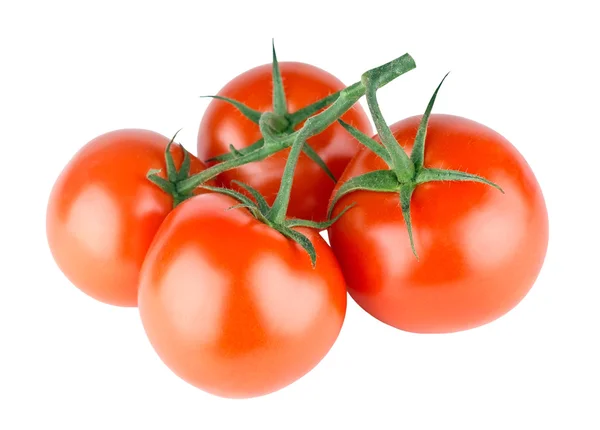 Verduras frescas de tomate rojo —  Fotos de Stock