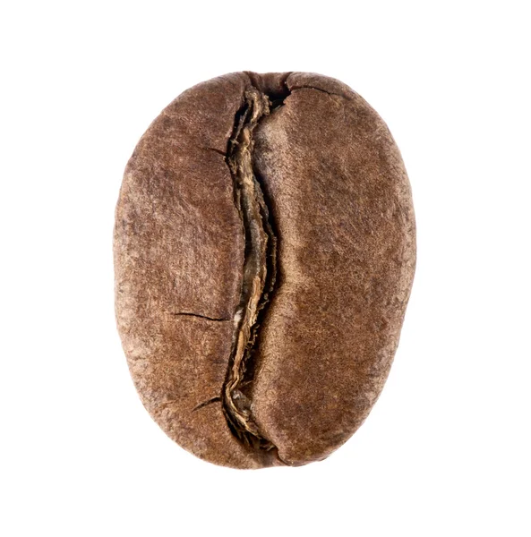 Koffie bean — Stockfoto