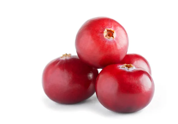 Fresh cranberry — Stock Photo, Image