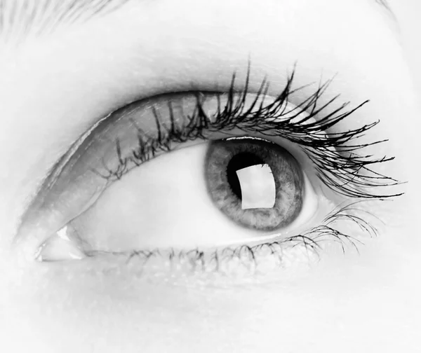 Zbliżenie: kobieta oko — Zdjęcie stockowe