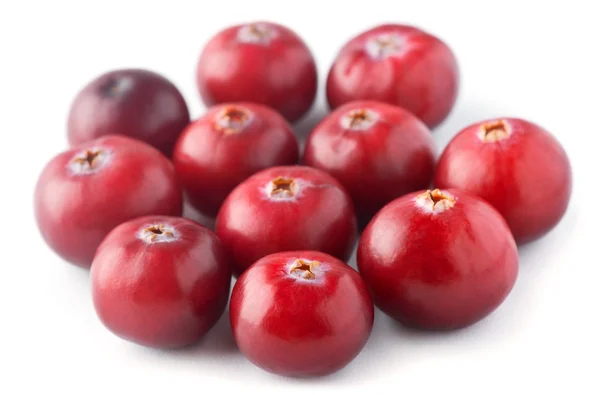 Fresh cranberry — Stock Photo, Image