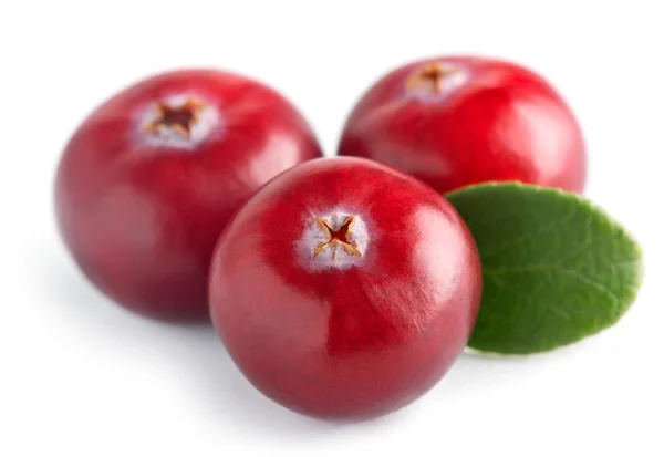 Three cranberry with leaf — Stock Photo, Image