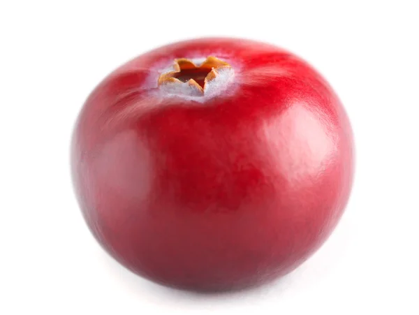 Cranberry — Stock Photo, Image