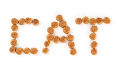 Kedi kelime gıda ile