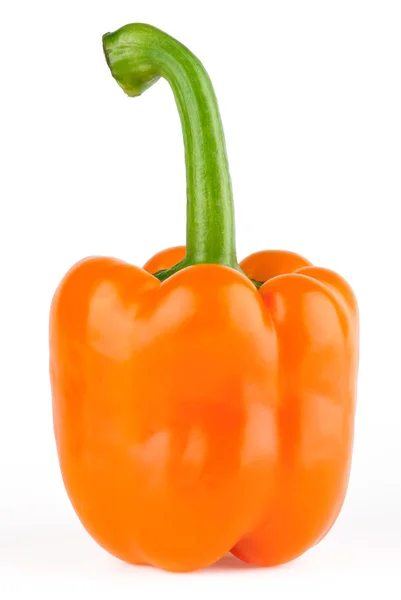 Oranje peper — Stockfoto