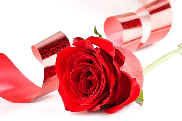 Red rose with ribbon — Stock Photo, Image