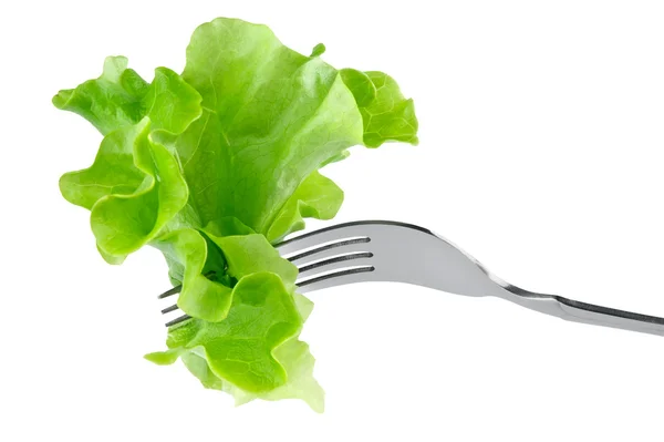 Salat auf Gabel — Stockfoto