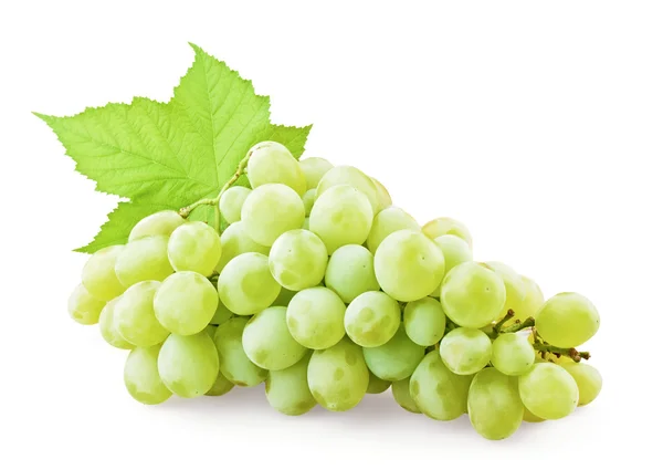 Green grapes — Stock Photo, Image