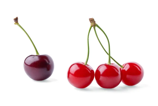 One cherry and three cherries — Stock Photo, Image