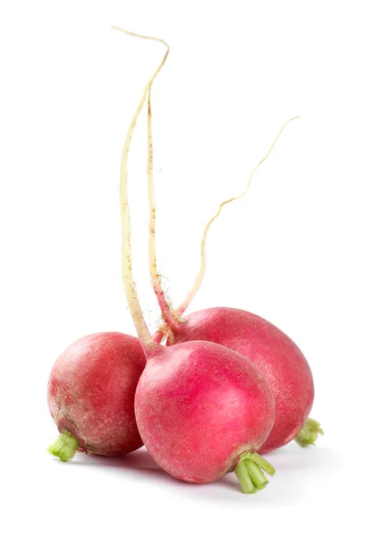 Fresh red radishes — Stock Photo, Image