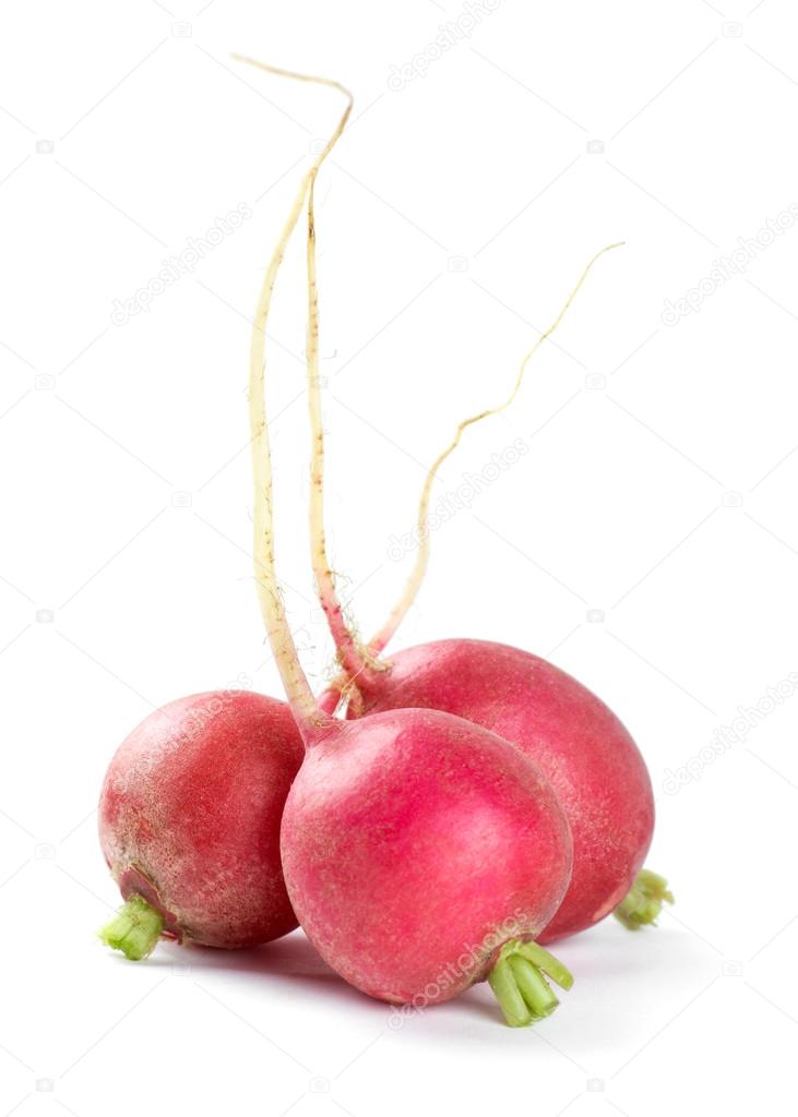 Fresh red radishes
