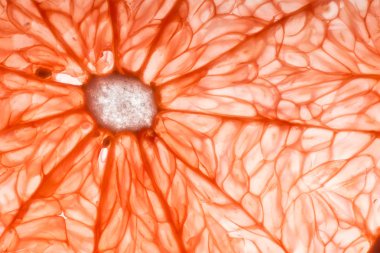 Greyfurt dilim tatlı