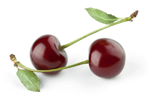 Cerises fraîches mûres gros plan — Photo