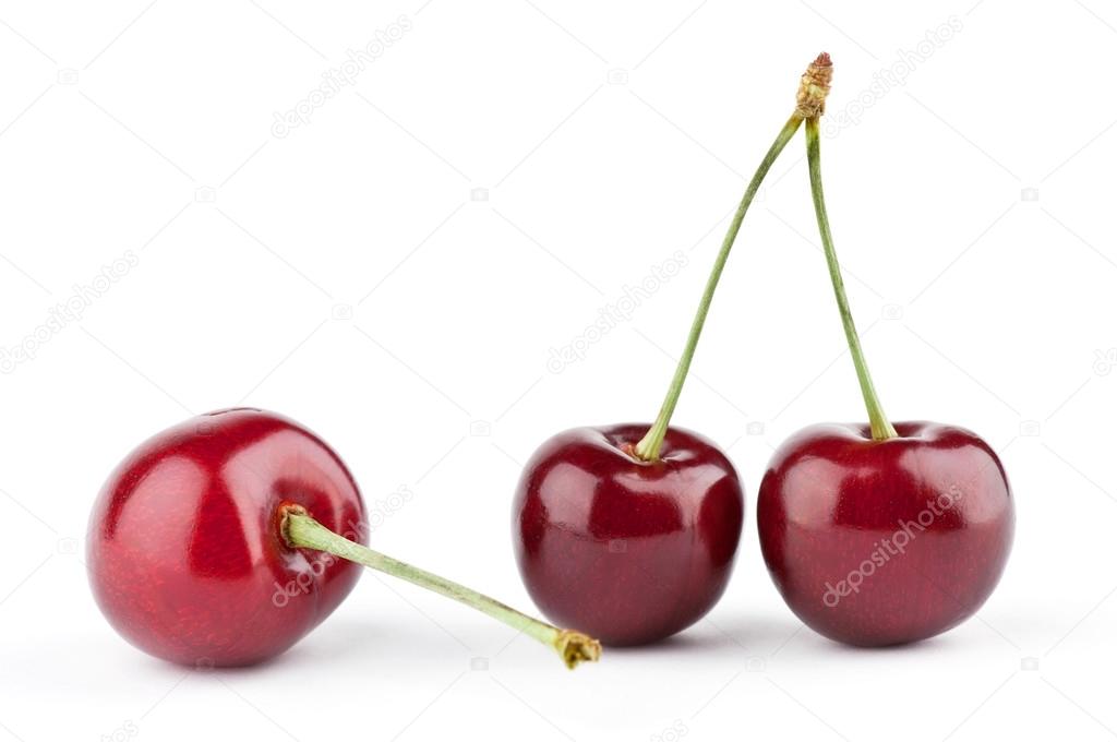 seralex