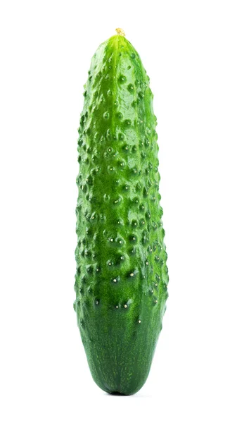 Fresh cucumber — Stock Photo, Image