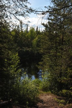 Küçük göl, tayga yatay.