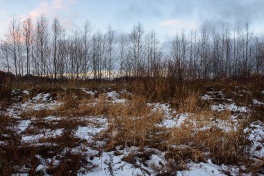 Sonbaharda göl kenarındaki tarlada kuru çimenler ve ilk kar. Manzara Görünümü.