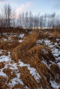 Sonbaharda göl kenarındaki tarlada kuru çimenler ve ilk kar. Manzara Görünümü.