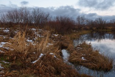 Sonbaharda göl kenarındaki tarlada kuru çimenler ve ilk kar. Manzara Görünümü.