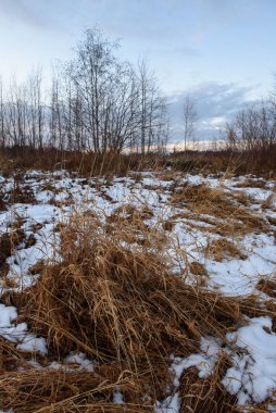 Sonbaharda göl kenarındaki tarlada kuru çimenler ve ilk kar. Manzara Görünümü.