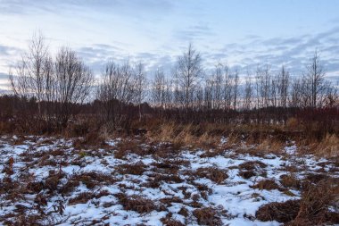 Sonbaharda göl kenarındaki tarlada kuru çimenler ve ilk kar. Manzara Görünümü.