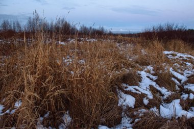 Sonbaharda göl kenarındaki tarlada kuru çimenler ve ilk kar. Manzara Görünümü.