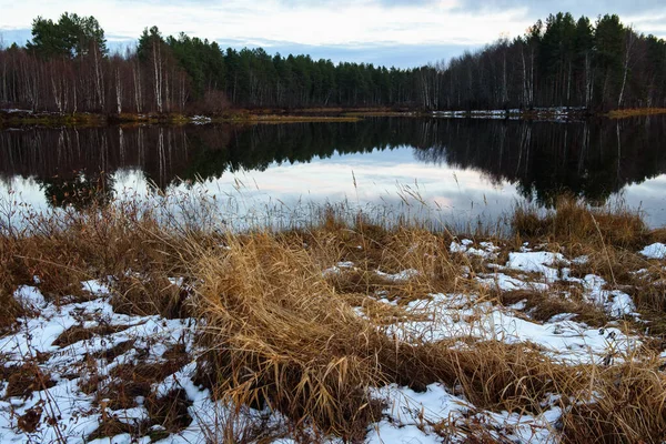 Vue Lac Fin Automne Coucher Soleil Avec Herbe Sèche Haute — Photo