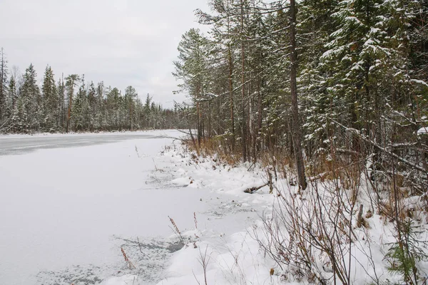 Пейзаж Заморожене Лісове Озеро Кінці Осені Після Першого Снігу — стокове фото