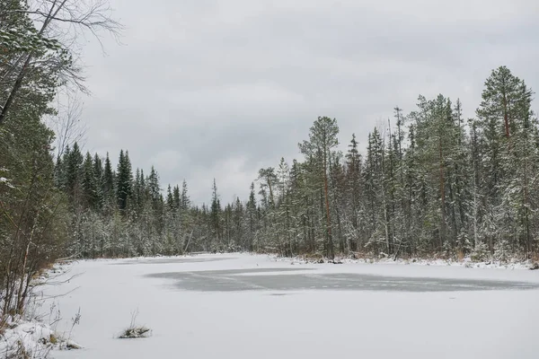 初雪後の晩秋の凍った森の湖 — ストック写真