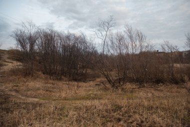 Sonbaharın sonlarında, gün batımında ön planda kuru uzun otlarla göl manzarası..