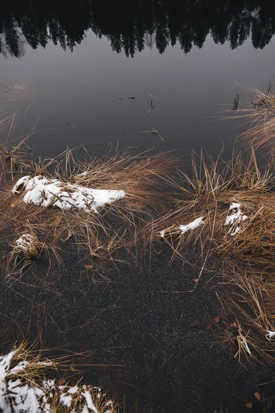 Поздней Осенью Первый Лед Озере Гуммоки Покрыты Тонким Слоем Снега — стоковое фото