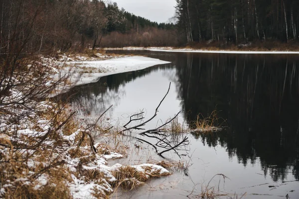 Late autumn. The first ice on the forest lake. The hummocks are covered with a thin layer of snow, the ice is very thin.