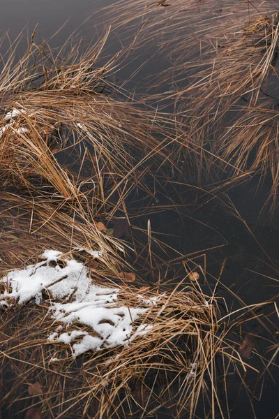 Sen Höst Den Första Isen Skogssjön Hummockarna Täckta Med Ett — Stockfoto