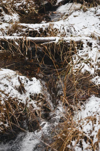 初雪过后 深秋森林峡谷中的溪流 — 图库照片