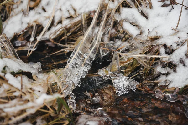 Stroom Een Bosravijn Late Herfst Eerste Sneeuw — Stockfoto