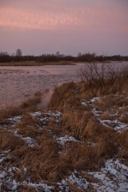 Kurumuş sonbahar otları, göl kenarındaki aşırı gelişmiş kıyıların arasında.