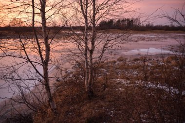 Sonbaharın sonlarında, gün batımında, buzda donmuş uzun otlarla göl manzarası.