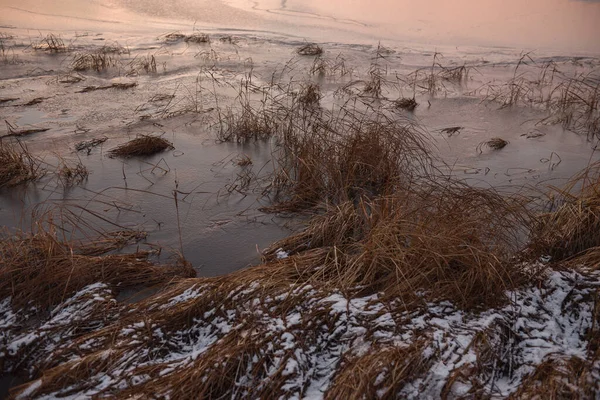 Dried Autumn Grass Overgrown Shore Lake — Stock Photo, Image