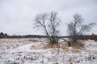 Sonbaharın sonlarında kurak çimenler ve ilk karla birlikte nehir kenarındaki tarla. Manzara Görünümü.