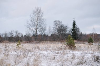Sonbaharın sonlarında kurak çimenler ve ilk karla birlikte nehir kenarındaki tarla. Manzara Görünümü.