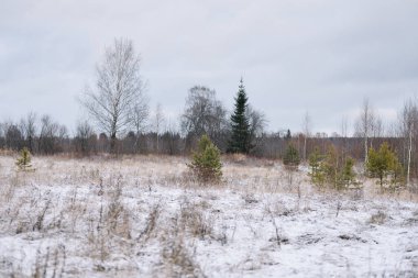 Sonbaharın sonlarında kurak çimenler ve ilk karla birlikte nehir kenarındaki tarla. Manzara Görünümü.