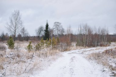 Sonbaharın sonlarında kurak çimenler ve ilk karla birlikte nehir kenarındaki tarla. Manzara Görünümü.