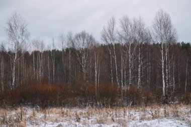 Sonbaharın sonlarında kurak çimenler ve ilk karla birlikte nehir kenarındaki tarla. Manzara Görünümü.