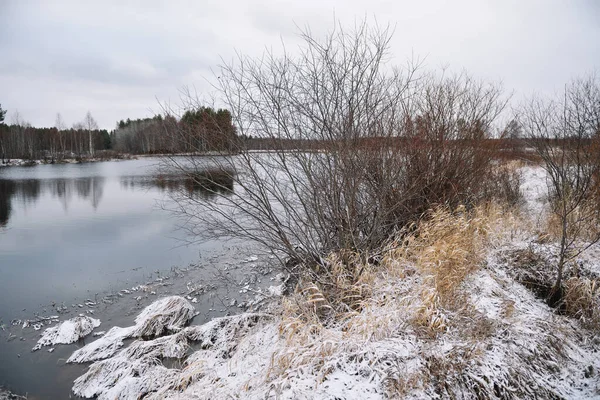 Bäume Fluss Spätherbst Mit Trockenem Gras Und Dem Ersten Schnee — Stockfoto