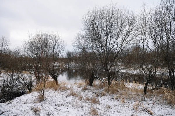Bäume Fluss Spätherbst Mit Trockenem Gras Und Dem Ersten Schnee — Stockfoto