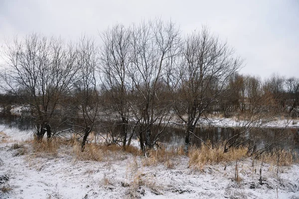 Sonbaharın Sonlarında Nehir Kenarındaki Ağaçlar Kuru Çimenler Ilk Karla Kaplı — Stok fotoğraf